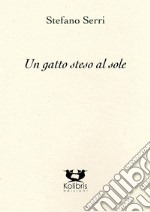 Un gatto steso al sole libro