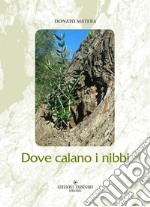 Dove calano i nibbi