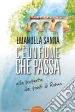 C'è un fiume che passa. Alla scoperta dei ponti di Roma libro