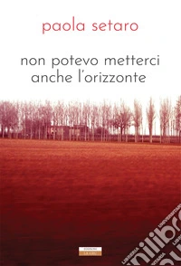Non potevo metterci anche l'orizzonte. Nuova ediz. libro