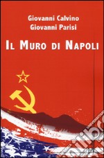 Il muro di Napoli libro