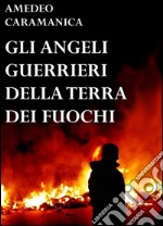 Gli angeli guerrieri della Terra dei fuochi libro