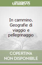 In cammino. Geografie di viaggio e pellegrinaggio libro