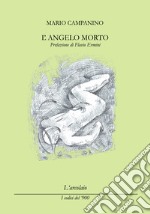 L'angelo morto libro