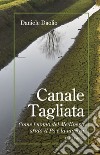 Canale Tagliata. Come l'uomo del Medioevo sfidò il Po e la natura libro