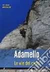 Le vie del cielo. Adamello Ovest libro