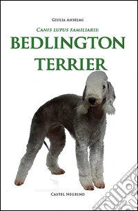 Bedlington Terrier