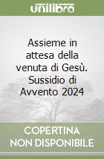 Assieme in attesa della venuta di Gesù. Sussidio di Avvento 2024 libro