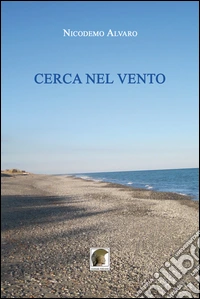 Cerca nel vento libro