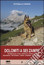 Dolomiti a sei zampe. 32 itinerari per vivere i monti con il nostro cane libro