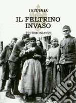 ll Feltrino invaso 1917-1918. Vol. 1: Testimonianza libro