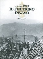 Il Feltrino invaso 1917-1918. Vol. 2: Immagini libro