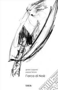 L'arca di Noè. Ediz. illustrata libro