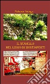 Il Mugello nel libro di Montaperti libro