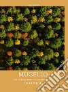 Mugello. Con i piedi per terra e lo sguardo al cielo libro