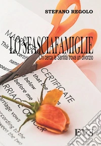 Lo sfasciafamiglie. Chi cerca la santità trova un divorzio libro