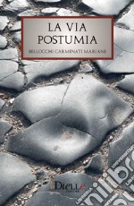 La via Postumia libro