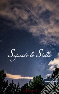 Seguendo la stella