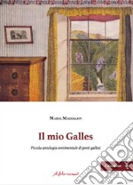 Il mio Galles. Piccola antologia sentimentale di poeti gallesi. Ediz. italiana, gallese e inglese libro