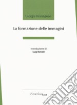 La formazione delle immagini libro