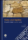 Gutta cavat lapidem. Indagini fraseologiche e paremiologiche libro