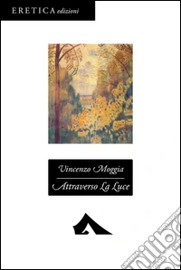 Attraverso la luce libro