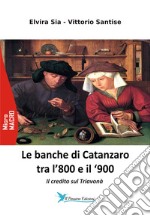 Le banche di Catanzaro tra l'800 e il '900. Il credito sul Triavonà