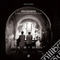 Pellegrini. In cammino verso le antiche chiese dell'est veronese libro