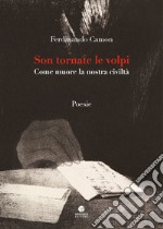 Son tornate le volpi. Come muore la nostra civiltà libro