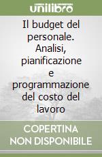 Il budget del personale. Analisi, pianificazione e programmazione del costo del lavoro libro