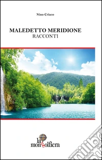 Maladetto meridione libro