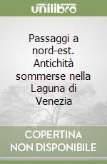 Passaggi a nord-est. Antichità sommerse nella Laguna di Venezia