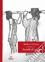 Fratelli di storia libro