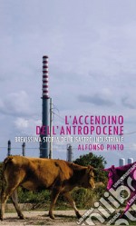 L'accendino dell'Antropocene. Brevissima storia del disastro industriale libro