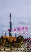 L'accendino dell'Antropocene. Brevissima storia del disastro industriale libro