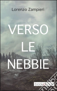 Verso le nebbie libro