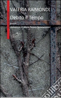 Debito il tempo