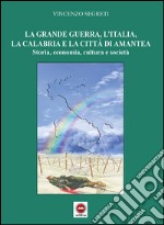 La grande guerra, l'Italia, la Calabria e la città di Amantea. Storia, economia, cultura e società libro