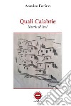 Quali Calabrie libro