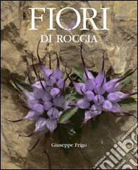 Fiori di roccia