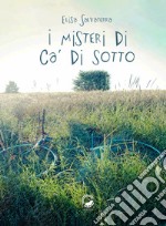 I misteri di Ca' di sotto libro