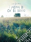 I misteri di Ca' di sotto libro