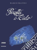 Pezzetti di cielo libro