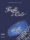 Pezzetti di cielo libro