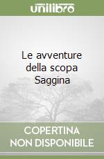 Le avventure della scopa Saggina libro