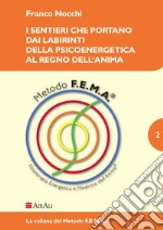 I sentieri che portano dai labirinti della psicoenergetica al regno dell'anima libro