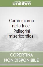 Camminiamo nella luce. Pellegrini misericordiosi libro