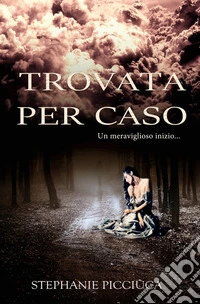Trovata per caso. Un meraviglioso inizio... libro