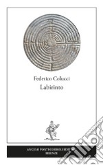 Labirinto libro