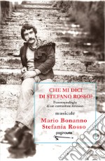 Che mi dici di Stefano Rosso? Fenomenologia di un cantautore rimosso